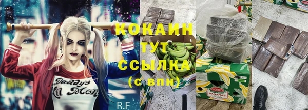 spice Алексин