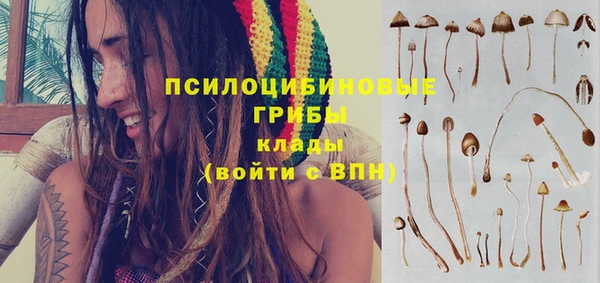 spice Алексин