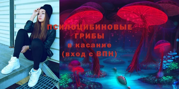 ПСИЛОЦИБИНОВЫЕ ГРИБЫ Алексеевка