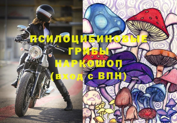 ПСИЛОЦИБИНОВЫЕ ГРИБЫ Алексеевка