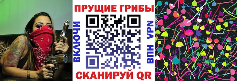 сайты даркнета наркотические препараты  Орлов  Псилоцибиновые грибы Magic Shrooms  как найти наркотики 